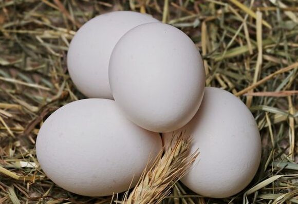 Vaječná dieta zahrnuje každodenní konzumaci slepičích vajec. 